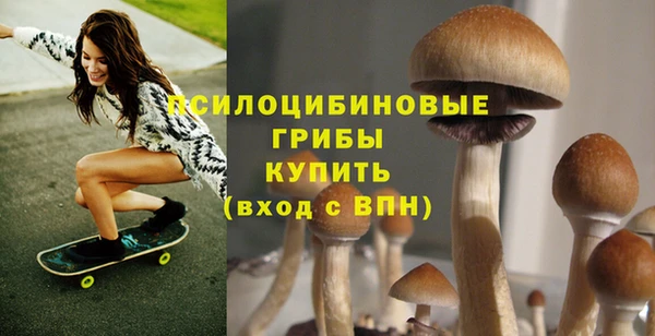 соль курить ск Алексин