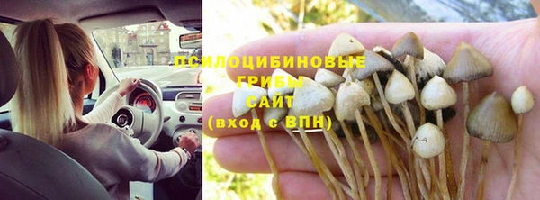соль курить ск Алексин