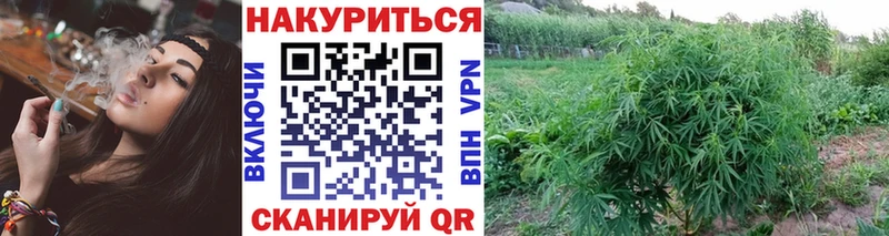 Бошки марихуана план  ОМГ ОМГ ТОР  Инсар 